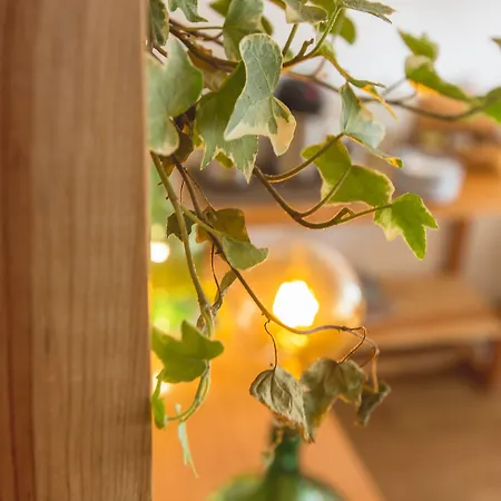 Story بيت ضيافة Lisboa